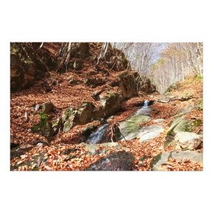 Impression Photo Cascade de Montagne - Nature Sauvage Roumanie