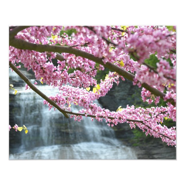Impression Photo Cascade She-qua-ga 20"x16" (Devant)