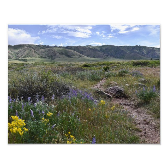 Impression Photo Casper Mountain Seasons - Fleurs sauvages d'été (Devant)