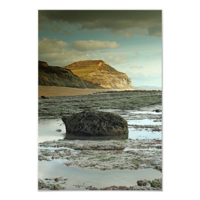 Impression Photo Casquette d'or, Dorset (Devant)