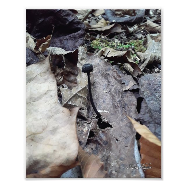 Impression Photo Casquette minuit (Devant)