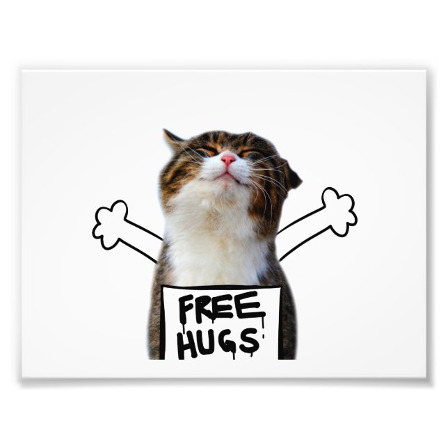 Impression Photo Cat holding Free Hugs Sign (Devant)