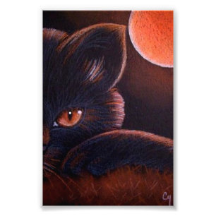 IMPRESSION PHOTO CAT NOIR DE HALLOWEEN AVEC LA LUNE ORANGE 4" X 6"