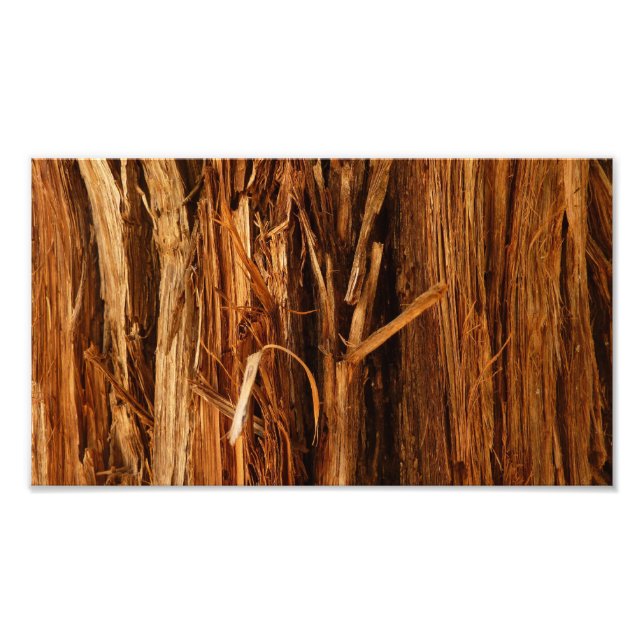 Impression Photo Cèdre texturé en écorce de bois (Devant)