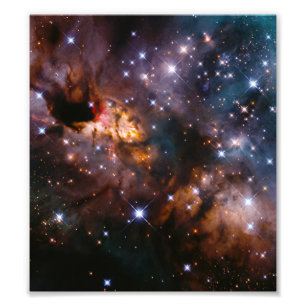 Impression Photo Celestial Prawn Drifting Through the Cosmic Deep
