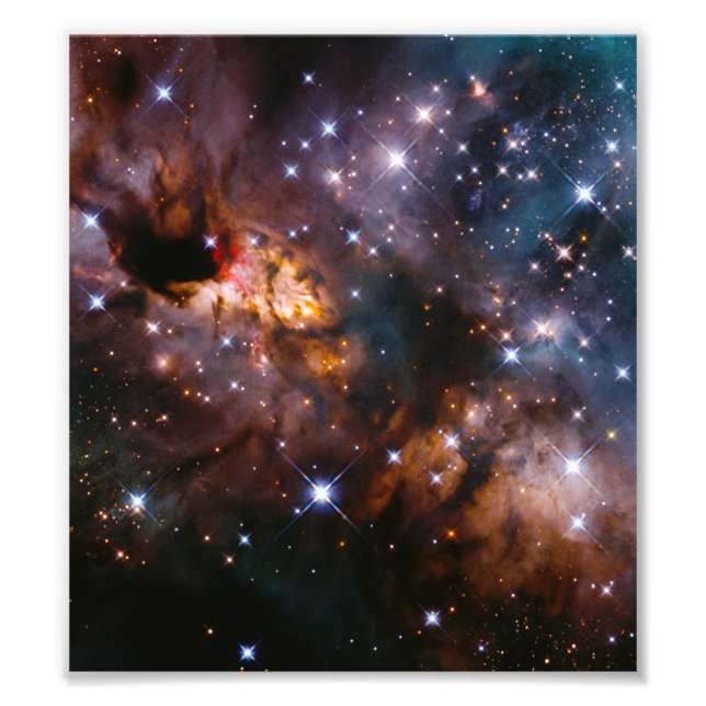 Impression Photo Celestial Prawn Drifting Through the Cosmic Deep (Devant)