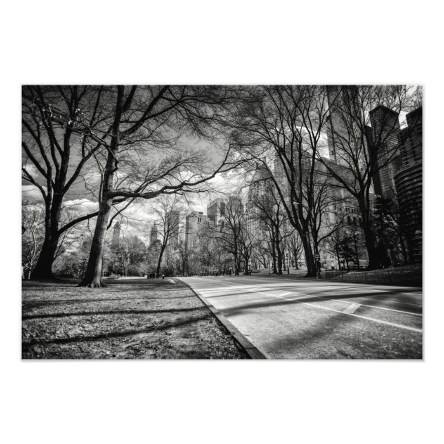 Impression Photo Central Park, New York (Devant)