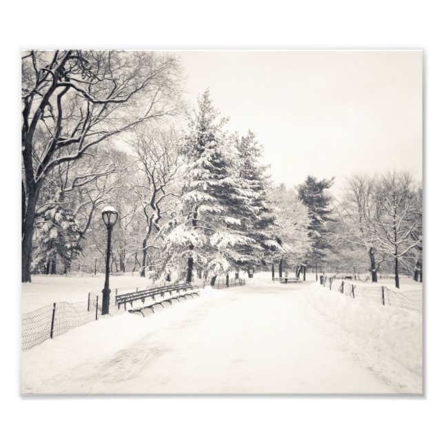 Impression Photo Central Park Winter Path - New York City (Devant)