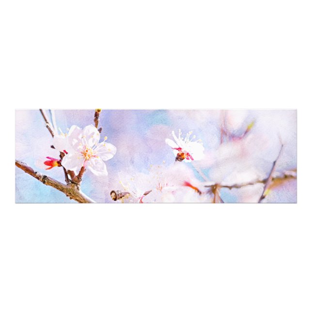 Impression Photo Cerisier Japonais - Sakura en Fleurs (Devant)