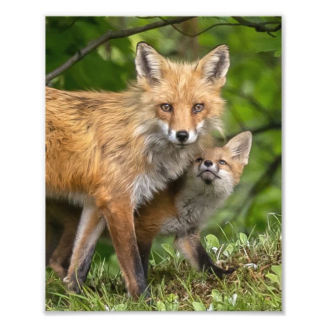 Impression Photo C'est mon père (Devant)