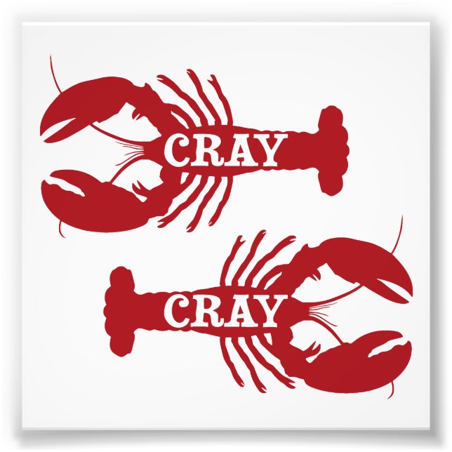 Impression Photo Cet écrevisse Cray Crustacé (Devant)