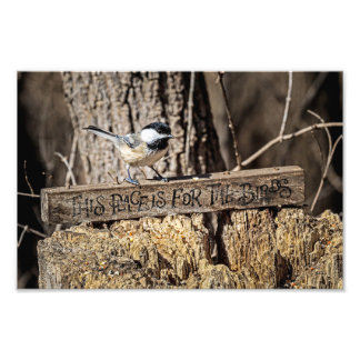 Impression Photo Cet endroit est pour les oiseaux