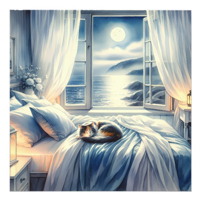 Impression Photo Chambre côtière éclairée par la lune avec un chat  (Devant)