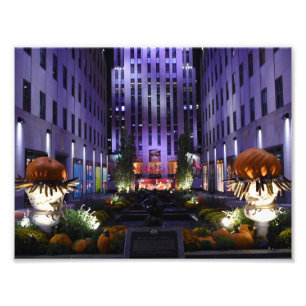 Impression Photo Channel Gardens Fifth Avenue New York City NYC