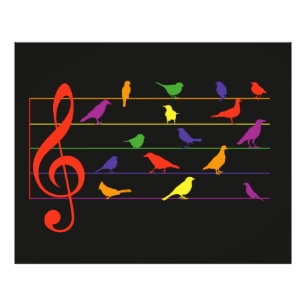 Impression Photo Chant d'oiseau, motif coloré