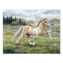 Charismatic Pinto Icelandic Mare watercolor