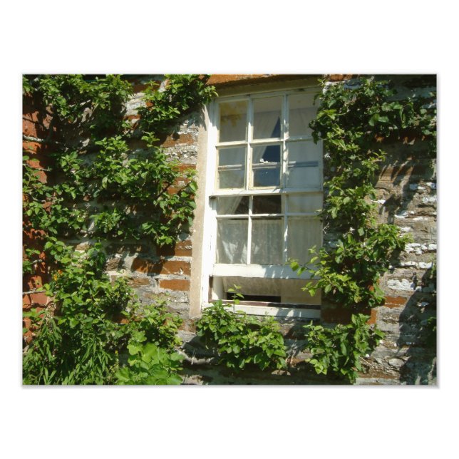 Impression Photo Charmant cottage anglais I (Devant)