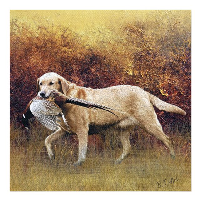 Impression Photo Chasse faisan, Faux Canvas Automne Imprimer Acryli (Devant)