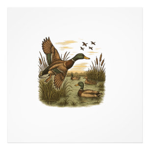 Impression Photo Chasse-Rétro-Volant-Caner-Colvert
