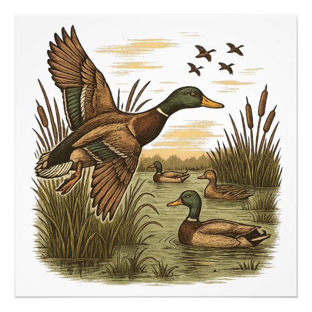 Impression Photo Chasse-Rétro-Volant-Caner-Mallard,  (Devant)