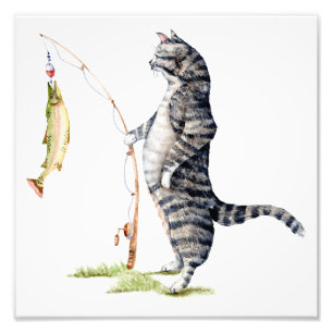 Impression Photo Chat avec un poisson
