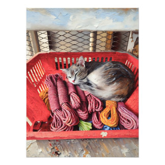 Impression Photo Chat confortable dormant dans le panier rouge remp
