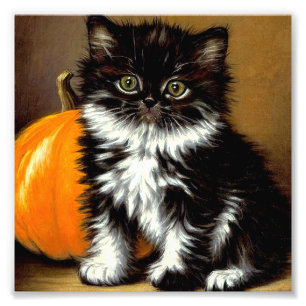 Impression Photo Chat d'Halloween noir et blanc vintage