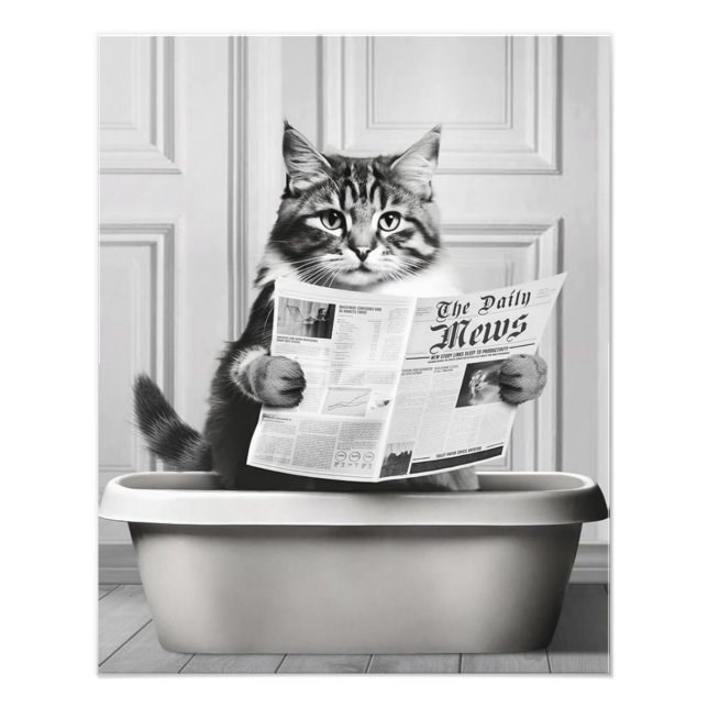 Impression Photo Chat est assis sur la Toilette, chat lire une nouv (Devant)