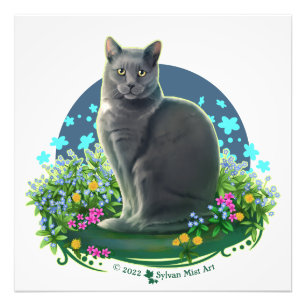 Impression Photo Chat gris dans le Jardin des Fleurs