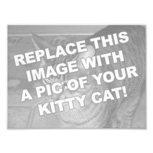 Impression Photo Chat Kitty personnalisé (Devant)
