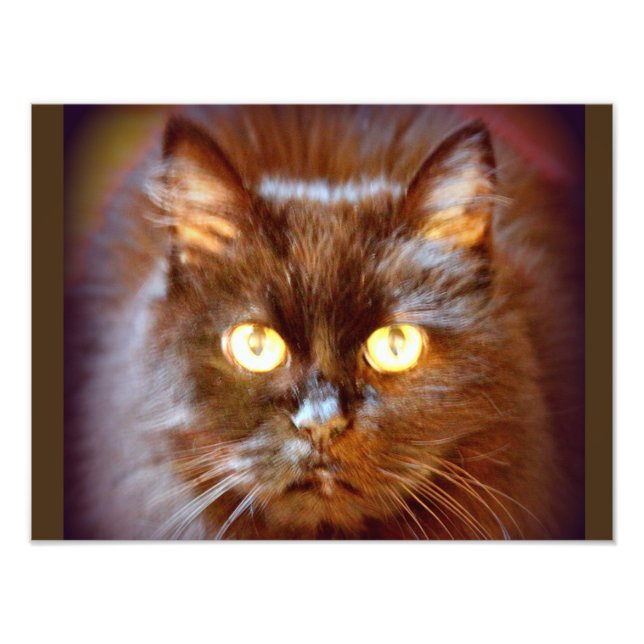 Impression Photo chat noir (Devant)