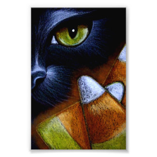 Impression Photo CHAT NOIR D'HALLOWEEN avec ÉPIS DE MAÏS 10 X 15 cm