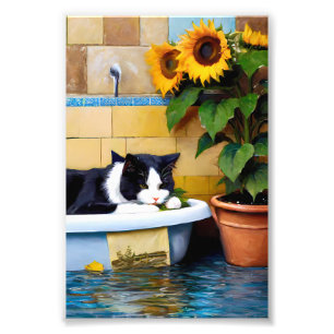 Impression Photo Chat noir et blanc avec tournesols