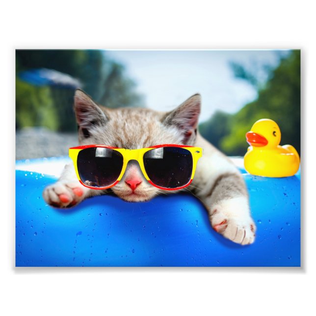 Impression Photo Chat portant des lunettes de soleil se relaxant su (Devant)