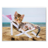 Chat reposant sur une chaise longue