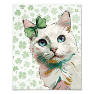 Impression Photo Chat shamrock aux yeux bleus