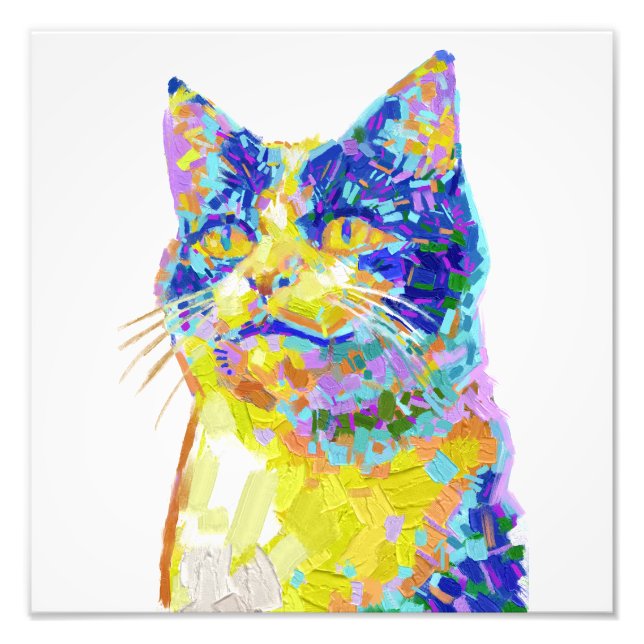 Impression Photo Chat sous le soleil (Devant)