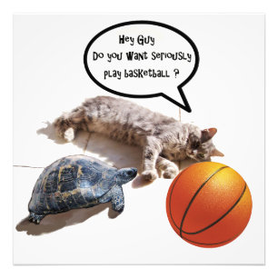 IMPRESSION PHOTO CHAT, TORTUE ET BASKETBALL