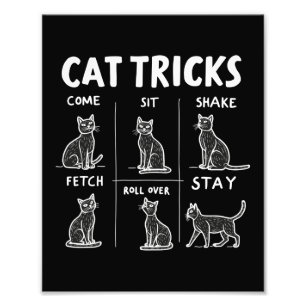 Impression Photo Chat Tricks Purr-Fparfaitement Hilarious Feline Fu