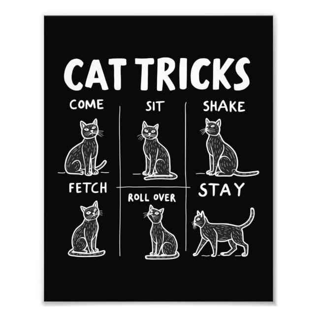 Impression Photo Chat Tricks Purr-Fparfaitement Hilarious Feline Fu (Devant)