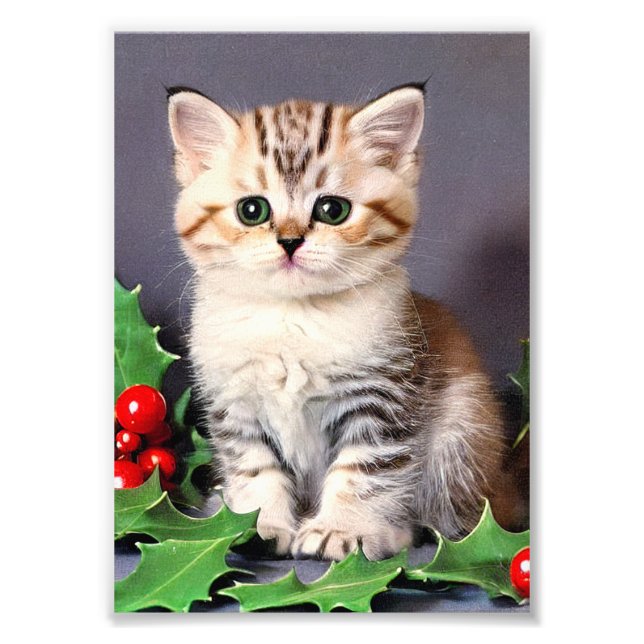 Impression Photo Chaton de Noël vintage et houx (Devant)