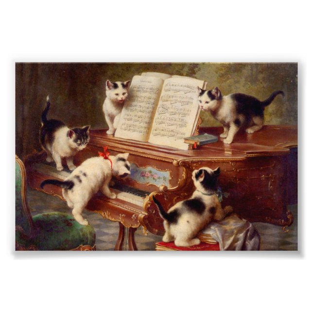 Impression Photo Chatons et piano (Devant)