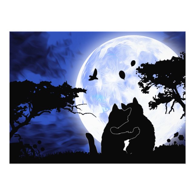 Impression Photo chats pleine lune (Devant)