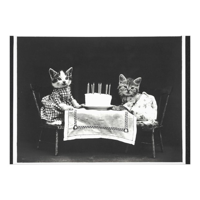 Impression Photo Chats vintages à une fête d'anniversaire (Devant)