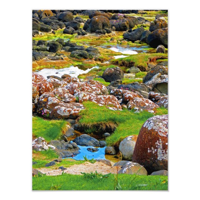 Impression Photo Chaussée géante - Vue 2 (Devant)