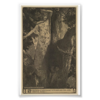 Impression Photo Chauve-souris et hibou