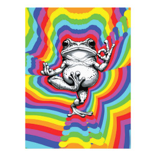 Impression Photo Chef-d'œuvre de Grenouille Zen
