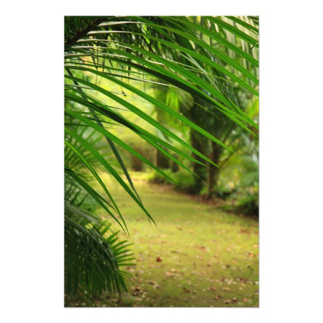 Impression Photo Chemin (Devant)