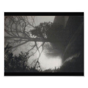 Impression Photo Chemin brumeux