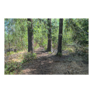 Impression Photo Chemin de forêt
